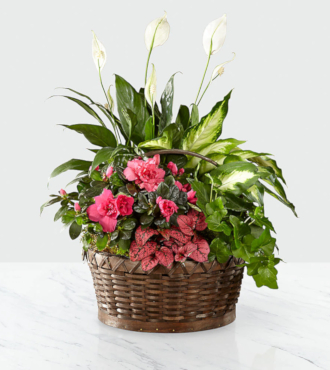 Dream in Pink™ Dishgarden