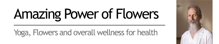 Amazing Power of Flowers. Yoga, Flowers and overall wellness for health