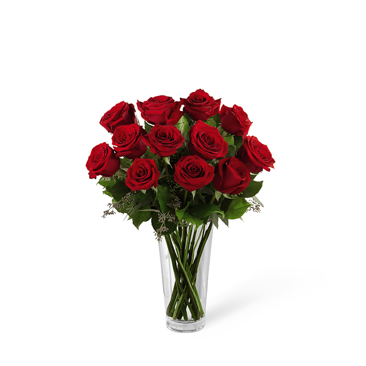 A Dozen Get Well Roses
