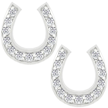 Horseshoe Earrings