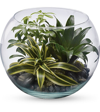 Sphere Of Tranquility Terrarium