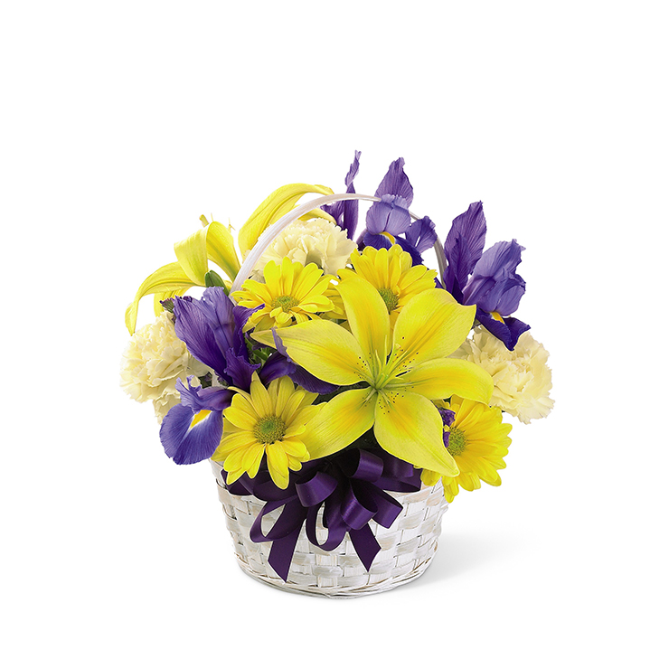 Get Well and Spring Back Basket