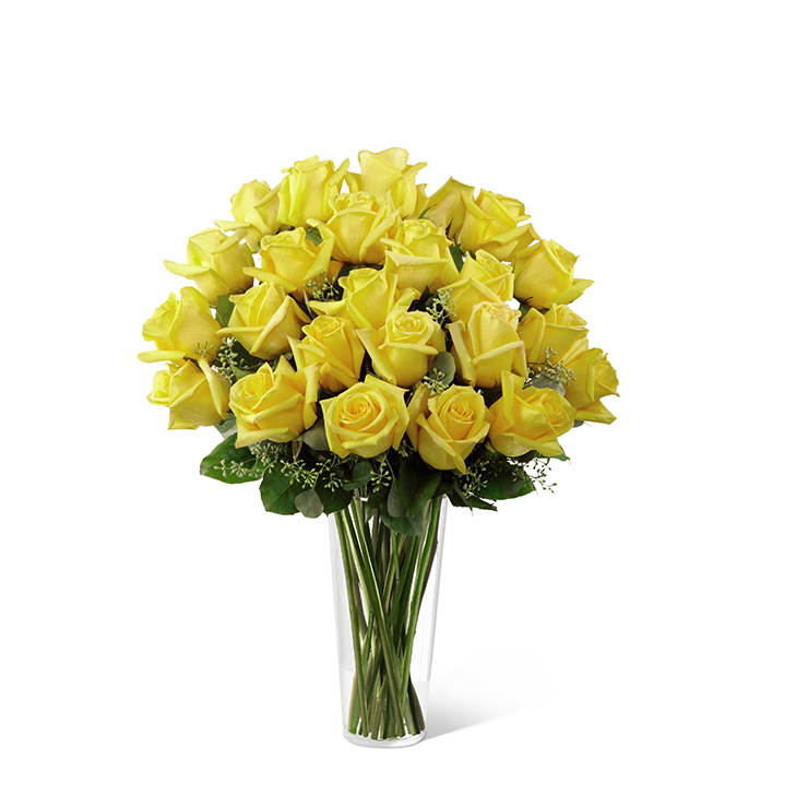 Two Dozen Get Well Roses