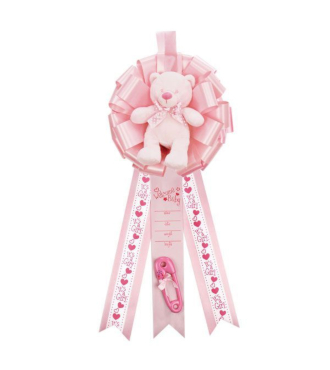 Its  a Girl - Bear Door Hanger