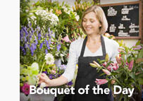 Florist Arranging Flowers