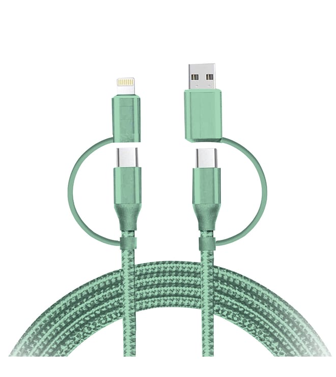 Iessentials 4-in-1 Lightning to Type-C and USB to Type-C Cable Mint