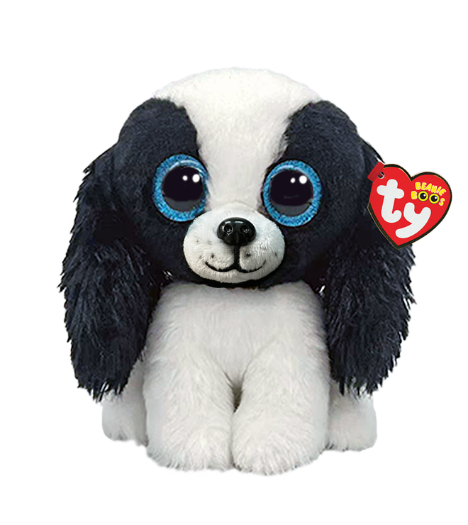 SISSY - dog blk/wht reg