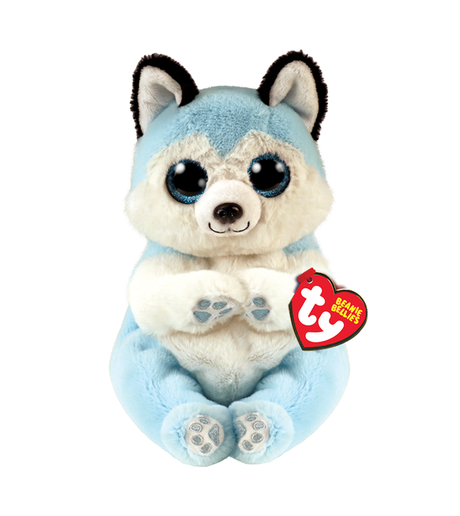 THUNDER - husky blue belly reg