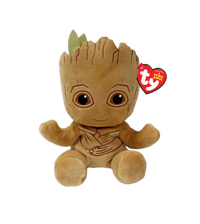 GROOT - floppy reg