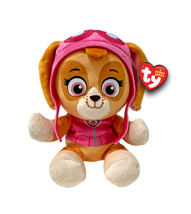 SKYE - dog cockapoo floppy reg