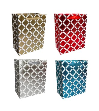 Color Grid Large Gift Bag