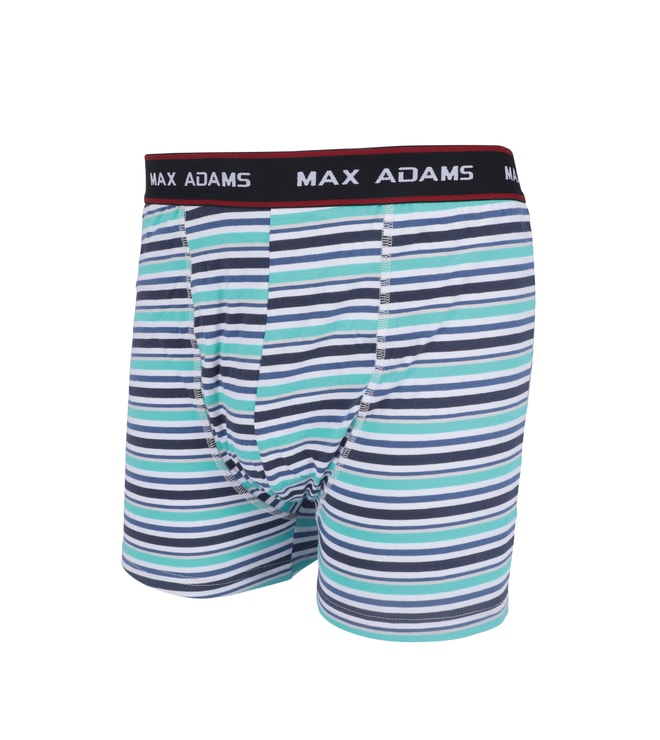 Mens Boxer Briefs Striped
