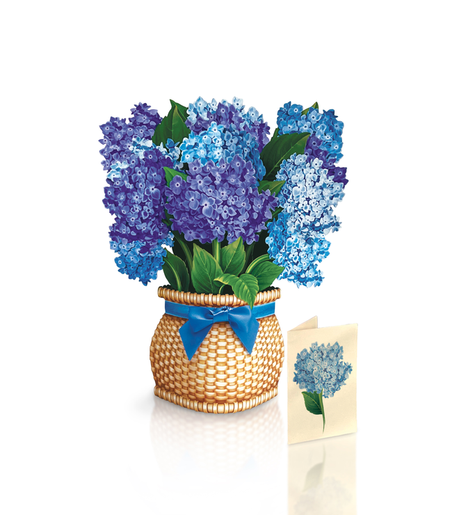 FreshCut Paper Nantucket Hydrangea