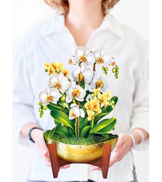 FreshCut Paper Serenity Orchid