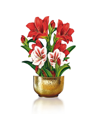 FreshCut Paper Mini Scarlet Amaryllis