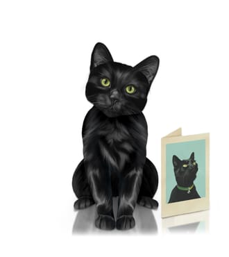 FreshCut Paper Black Cat  Pet