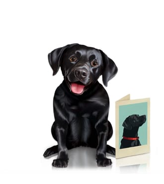 FreshCut Paper Black Lab Pet