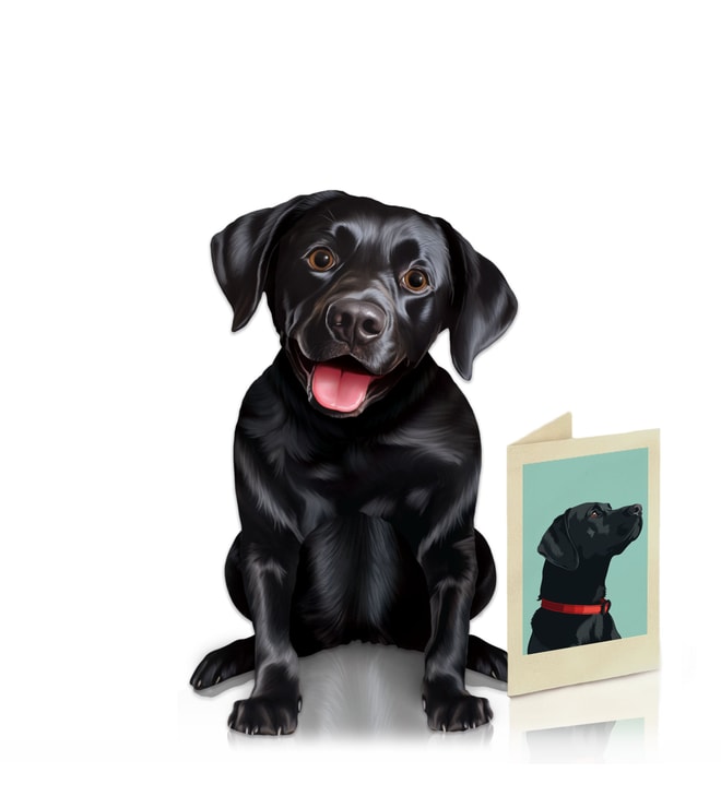 FreshCut Paper Black Lab Pet