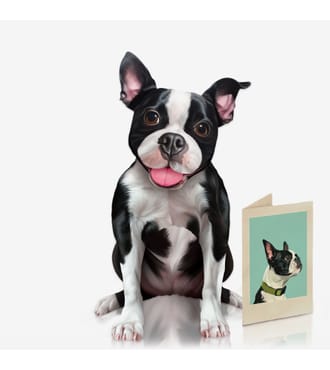 FreshCut Paper Boston Terrier  Pet