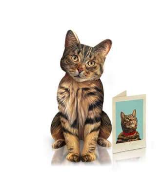 FreshCut Paper Brown Tabby Pet
