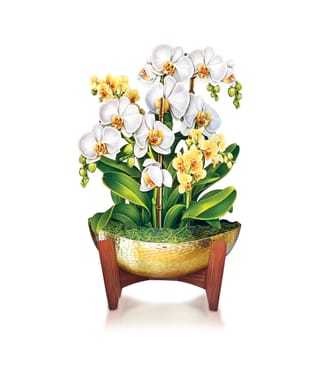 FreshCut Paper Serenity Orchid