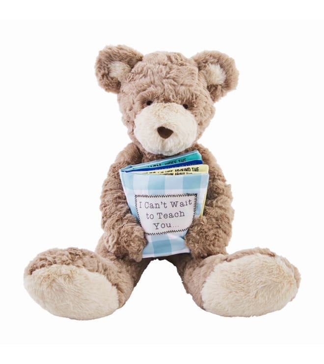 BIG BRO BEAR WITH BOOK