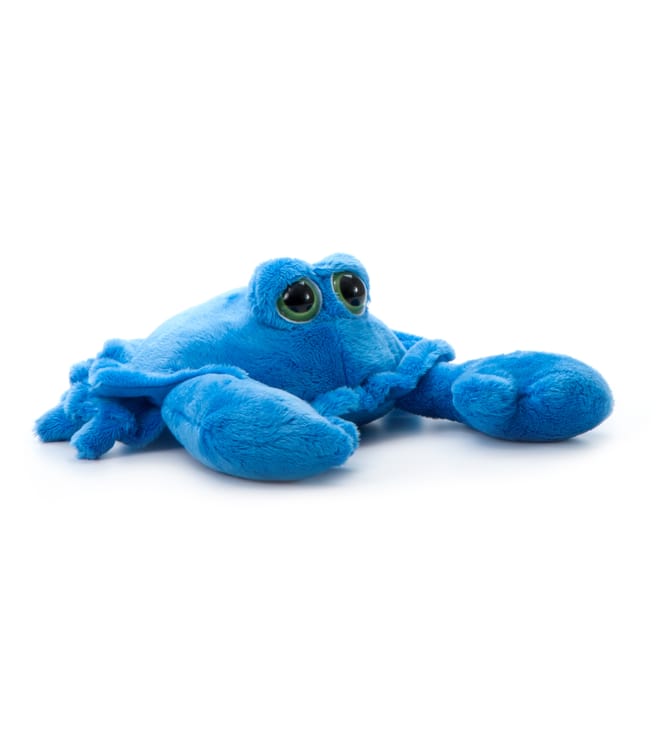 Bright Eye Crab Blue