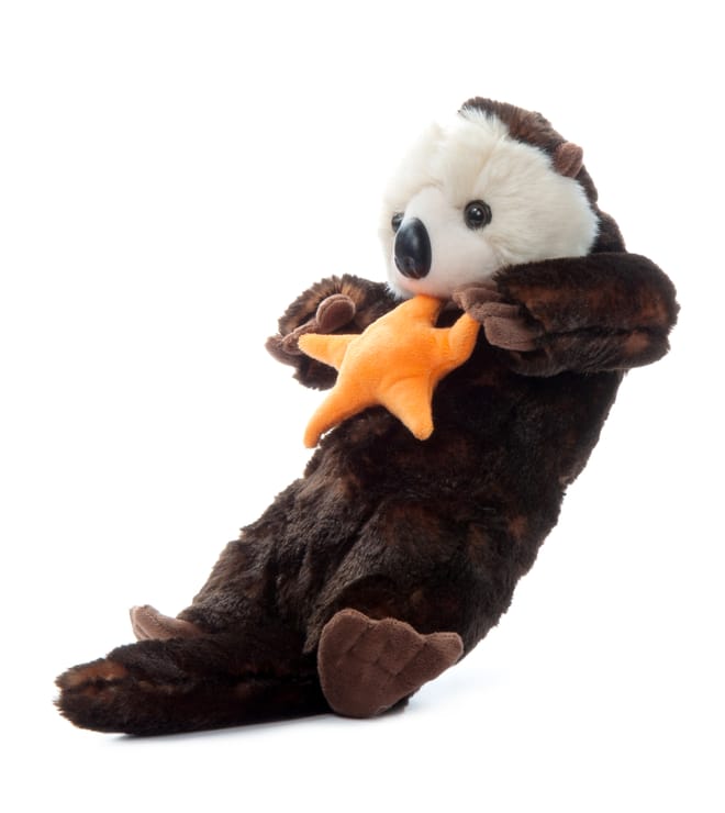 Sea Otter & Starfish