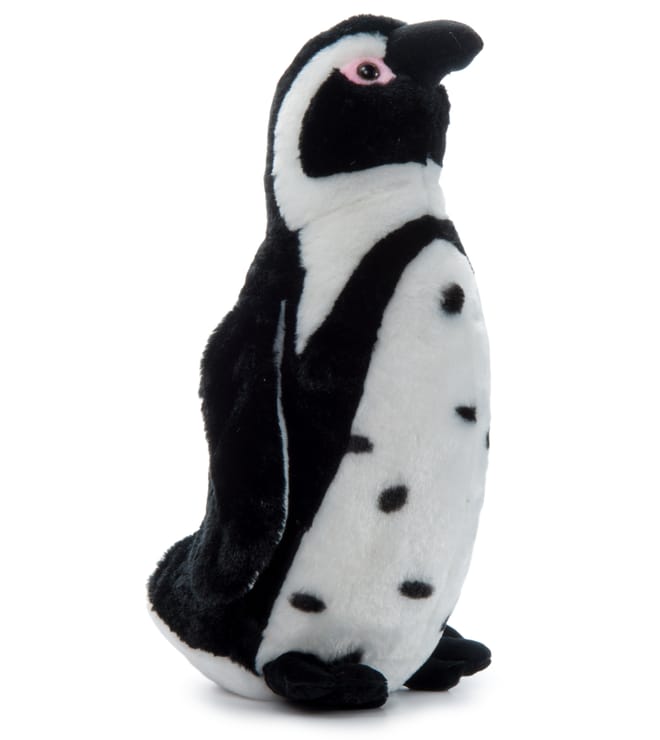 Wild Onez ABF Penguin